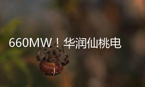 660MW！華潤仙桃電廠項目1號機組投產