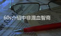 60s介紹中非混血智商如何，是不是真的低看完清清楚楚