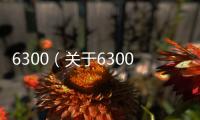 6300（關于6300的基本情況說明介紹）