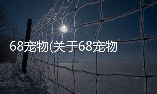 68寵物(關于68寵物簡述)