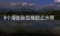 8個厚膨脹型橡膠止水帶 國標橡膠止水帶單價