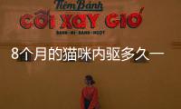 8個月的貓咪內驅多久一次正常(8個月的貓驅蟲藥吃多少)