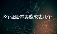 8個胚胎養囊能成功幾個來瞧，僅1個和技術差脫不了干系