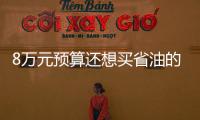 8萬(wàn)元預(yù)算還想買(mǎi)省油的SUV？在這三款里面選