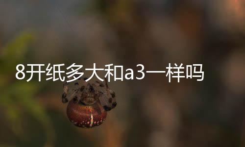 8開(kāi)紙多大和a3一樣嗎（8開(kāi)紙多大）
