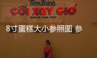 8寸蛋糕大小參照圖 參照物（8寸蛋糕大小參照圖）
