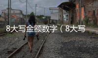 8大寫金額數字（8大寫）
