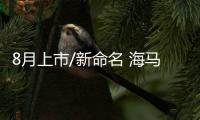 8月上市/新命名 海馬S5 Young推CVT版
