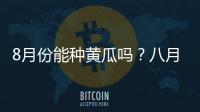 8月份能種黃瓜嗎？八月份能種黃瓜嗎？