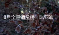 8月全量銷量榜：比亞迪奪“雙料冠軍”