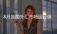 8月我國外匯市場運行保持平穩(wěn)