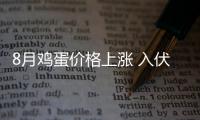 8月雞蛋價格上漲 入伏后蛋雞產蛋率有所下降