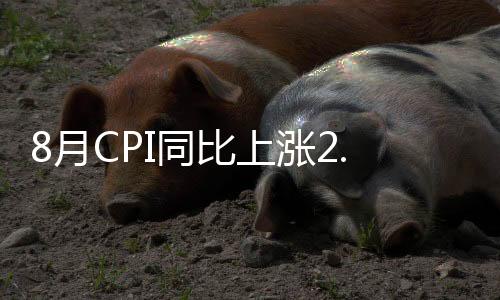 8月CPI同比上漲2.5%