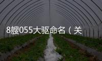 8艘055大驅命名（關于8艘055大驅命名的基本情況說明介紹）
