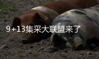 9+13集采大聯盟來了 新一輪高值耗材聯盟集采即將啟動