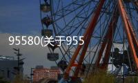 95580(關于95580簡述)
