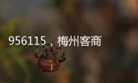 956115，梅州客商銀行新客服熱線正式上線