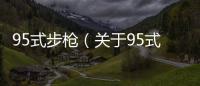95式步槍（關于95式步槍的基本情況說明介紹）