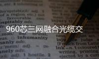 960芯三網融合光纜交接箱廠家檢測報告