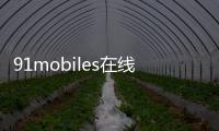91mobiles在線共享！Apple“Pro”新圖像曝光