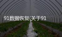 91數(shù)據(jù)恢復(fù)(關(guān)于91數(shù)據(jù)恢復(fù)簡述)