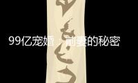 99億寵婚：前妻的秘密(關于99億寵婚：前妻的秘密簡述)