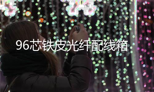 96芯鐵皮光纖配線箱