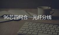 96芯四網合一光纖分線箱/資料介紹