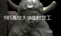985高校大學生村官工程(關于985高校大學生村官工程簡述)