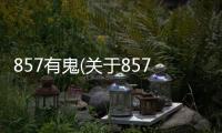 857有鬼(關于857有鬼簡述)