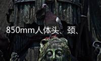 850mm人體頭、頸、軀干模型(關于850mm人體頭、頸、軀干模型簡述)