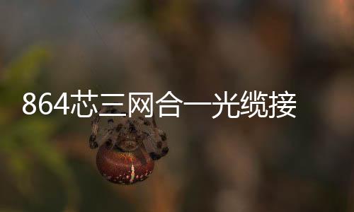 864芯三網合一光纜接線架【落地式安裝示意圖】