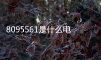 8095561是什么電話（95561是什么電話）