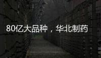80億大品種，華北制藥首家通過一致性評價