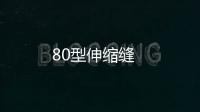 80型伸縮縫