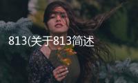 813(關于813簡述)