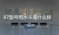 87型號雨水斗是什么樣子的（87型雨水斗什么意思）