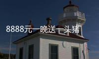 8888元一晚送一頭豬，“豬景房”你住過嗎？