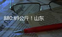 880.89公斤！山東小麥單產再創新紀錄