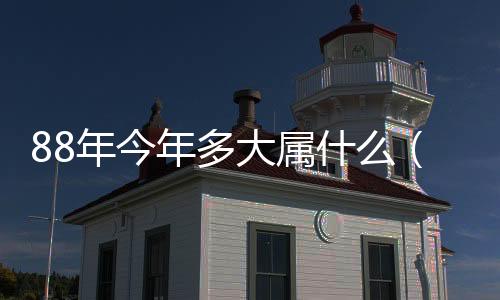 88年今年多大屬什么（88年今年多大）