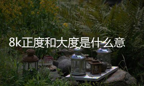 8k正度和大度是什么意思（大度是什么意思）