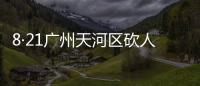 8·21廣州天河區砍人事件(關于8·21廣州天河區砍人事件簡述)