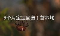 9個月寶寶食譜（營養(yǎng)均衡的寶寶輔食推薦）