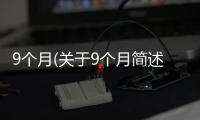 9個月(關于9個月簡述)