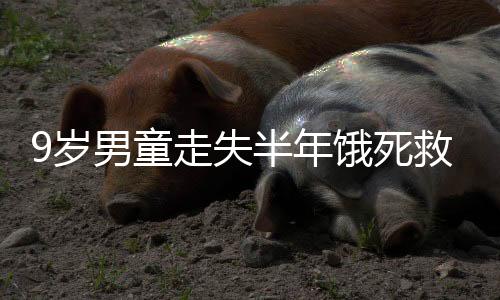 9歲男童走失半年餓死救助站事件(關(guān)于9歲男童走失半年餓死救助站事件簡述)