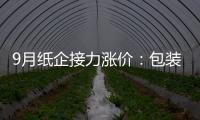 9月紙企接力漲價：包裝紙價格漲幅明顯，行業盈利有待修復