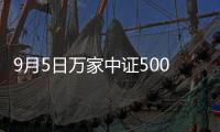9月5日萬家中證500指數增強發起式C凈值上漲0.30%