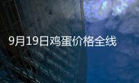 9月19日雞蛋價格全線回調