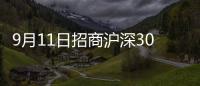 9月11日招商滬深300指數(shù)增強A凈值下跌0.30%