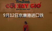 9月12日京唐港進口鐵礦（9:15）主流品種市場價格暫穩